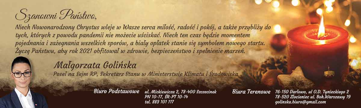 Read more about the article golinska